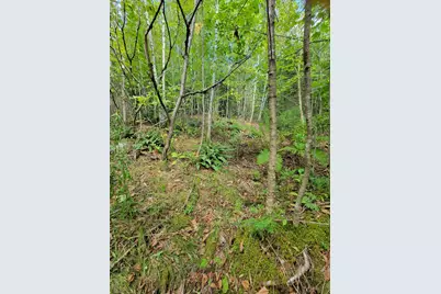 B-2Backlot Pioneer Path, Aurora, ME 04605 - Photo 11