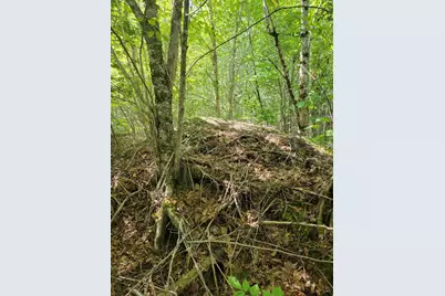 B-2Backlot Pioneer Path, Aurora, ME 04605 - Photo 19