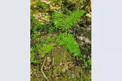 B-2Backlot Pioneer Path, Aurora, ME 04605 - Photo 23