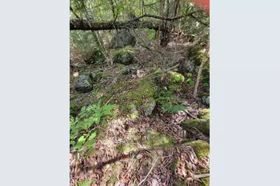 B-2Backlot Pioneer Path, Aurora, ME 04605 - Photo 13