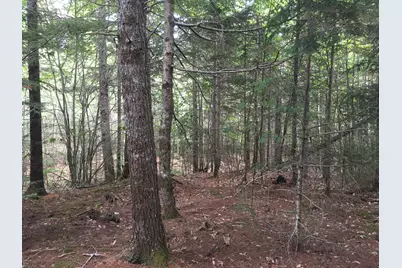 B-2Backlot Pioneer Path, Aurora, ME 04605 - Photo 7