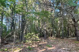 1068 Main Rd, Eddington, ME 04428 - Photo 69