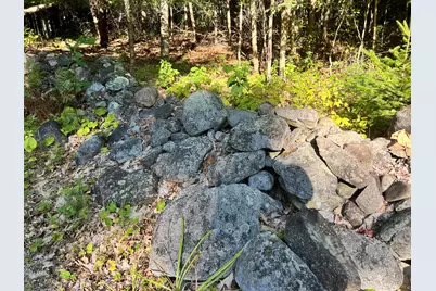 1068 Main Road, Eddington, ME 04428 - Photo 73