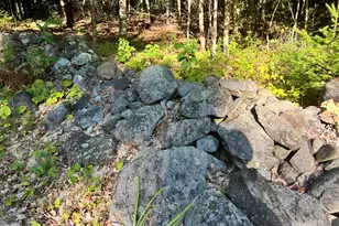 1068 Main Rd, Eddington, ME 04428 - Photo 73