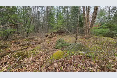 Lot 58 Camden Road, Lincolnville, ME 04849 - Photo 3