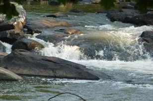 10 Chase Mill Rd, Limington, ME 04049 - Photo 105