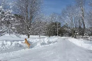 10 Chase Mill Rd, Limington, ME 04049 - Photo 151