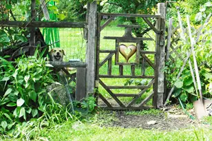 10 Chase Mill Rd, Limington, ME 04049 - Photo 117