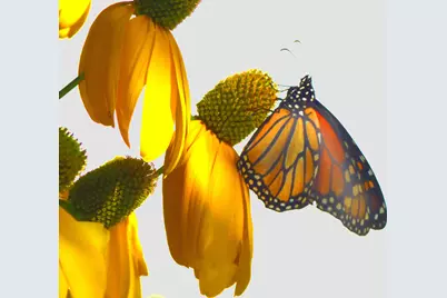 10 Chase Mill Road, Limington, ME 04049 - Photo 93