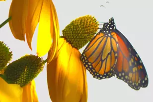 10 Chase Mill Rd, Limington, ME 04049 - Photo 93