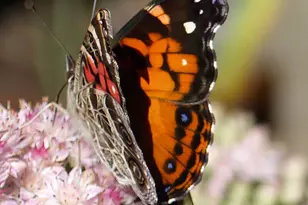 10 Chase Mill Rd, Limington, ME 04049 - Photo 135