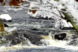 10 Chase Mill Rd, Limington, ME 04049 - Photo 139