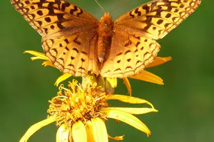 10 Chase Mill Rd, Limington, ME 04049 - Photo 125