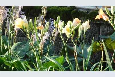 10 Chase Mill Road, Limington, ME 04049 - Photo 89