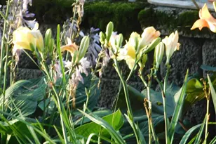 10 Chase Mill Rd, Limington, ME 04049 - Photo 89