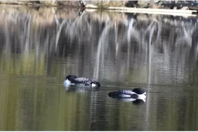 22 Point Road, Guilford, ME 04443 - Photo 45