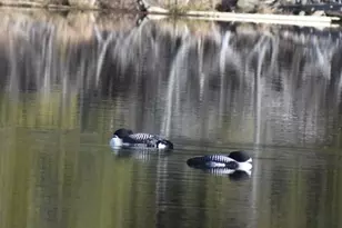 22 Point Rd, Guilford, ME 04443 - Photo 45