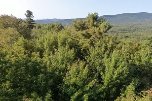 Lot# 55 Arlines Way, Woodstock, ME 04219 - Photo 1