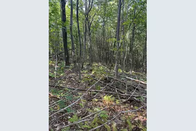 Lot# 55 Arlines Way, Woodstock, ME 04219 - Photo 9