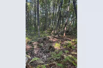 Lot# 55 Arlines Way, Woodstock, ME 04219 - Photo 11