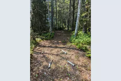 0 Route #144 (Main Road), Westport, ME 04578 - Photo 11
