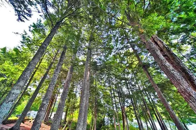 638 Sandy Beach Road, Danforth, ME 04424 - Photo 95