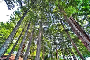 638 Sandy Beach Rd, Danforth, ME 04424 - Photo 95