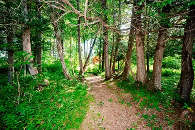 273 Lemon Stream Road, New Portland, ME 04961 - Photo 9