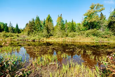 273 Lemon Stream Road, New Portland, ME 04961 - Photo 21