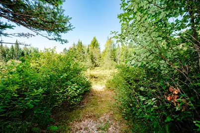 273 Lemon Stream Road, New Portland, ME 04961 - Photo 19