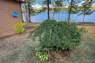 50 Picnic Point Rd, Brooklin, ME 04413 - Photo 9