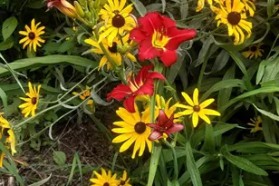 444 W Auburn Rd, Auburn, ME 04210 - Photo 63