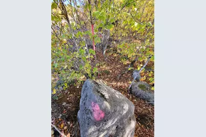 Lot 9 & 10 Moose Ridge Road, Oakfield, ME 04763 - Photo 31