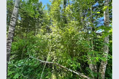 Lot 3 Woodland Ridge Road, Danforth, ME 04424 - Photo 17