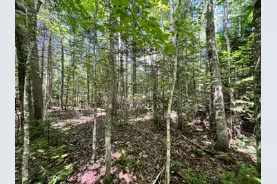 Lot 4 Woodland Ridge Road, Danforth, ME 04424 - Photo 11