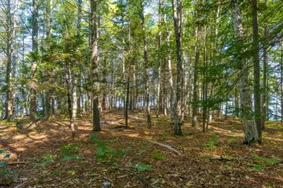 48 US Route 1, Edgecomb, ME 04556 - Photo 15