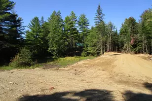 Lot 8A N North Howland Rd, Maxfield, ME 04448 - Photo 11