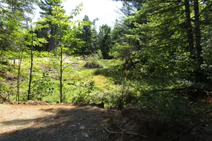 Lot 8A N North Howland Rd, Maxfield, ME 04448 - Photo 7