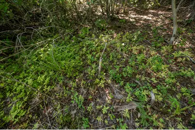 Lot 7 Cobbo Lane, West Gardiner, ME 04345 - Photo 7