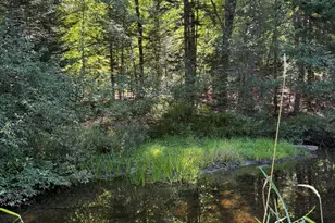 672 Lower Dedham Rd, Dedham, ME 04429 - Photo 29