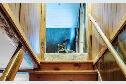 428 Cathance Road, Topsham, ME 04086 - Photo 21