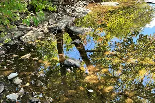 16 Forgotten Alley Dr, Waterford, ME 04088 - Photo 39