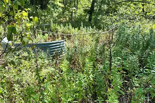 16 Forgotten Alley Dr, Waterford, ME 04088 - Photo 47