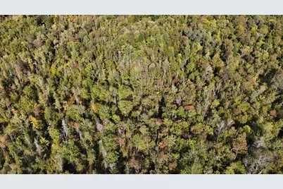 Tbd Woodcock Road, Saint Albans, ME 04971 - Photo 7