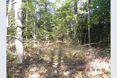 Tbd 23rd Street, Shapleigh, ME 04076 - Photo 7