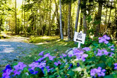 435 Herrick Road, Brooksville, ME 04617 - Photo 7