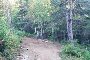 100 Cards Ridge Rd, Greenbush, ME 04418 - Photo 3