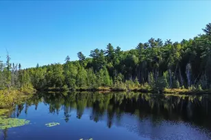 0 Dragonfly Dr, Holden, ME 04429 - Photo 3