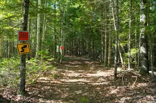 0 Dragonfly Dr, Holden, ME 04429 - Photo 25