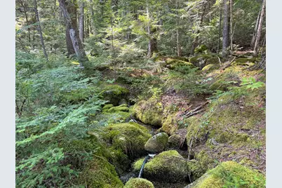 P/O M29L23 Bluff Road, Enfield, ME 04493 - Photo 27